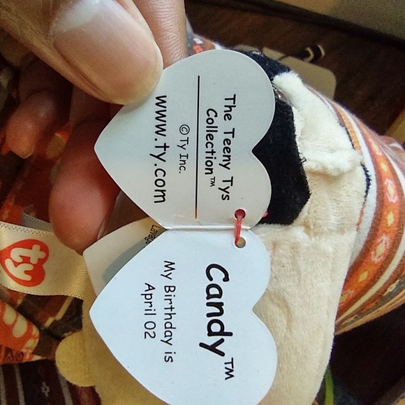 •Ty Teeny Candy the Pug Dog (5 inch) plush - Picture 10 of 13